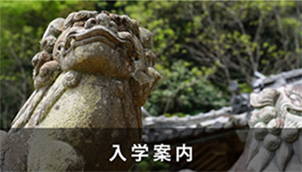 入学案内